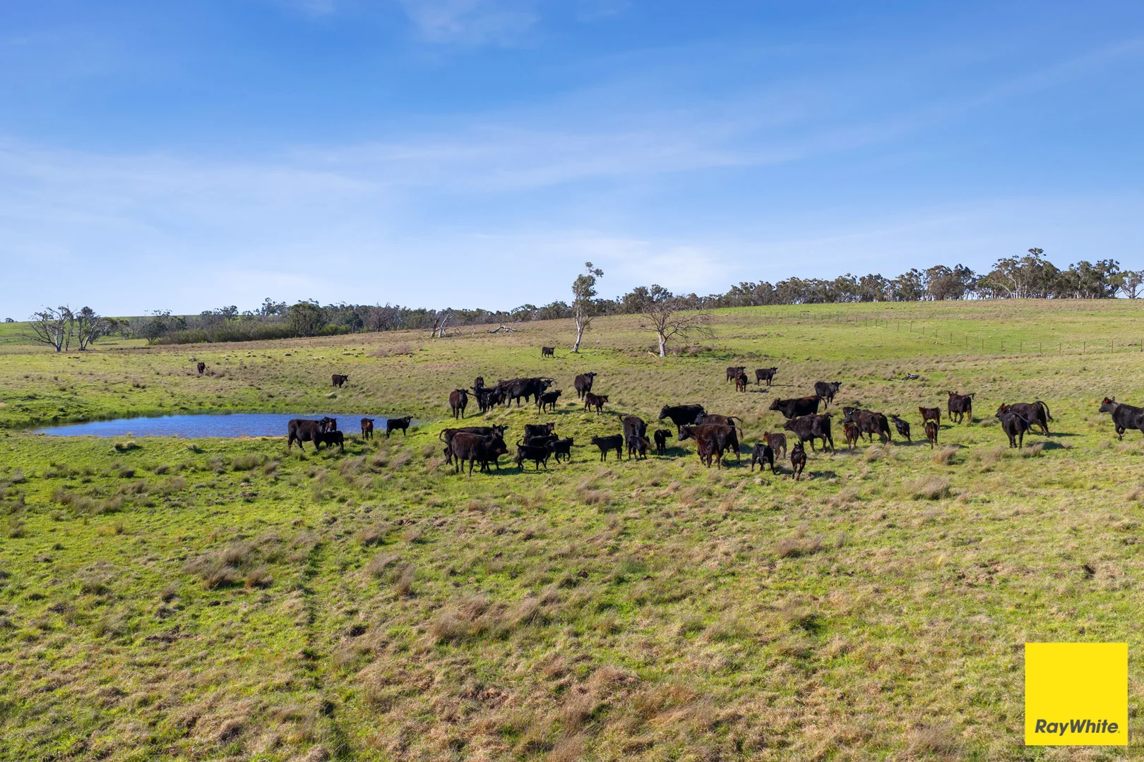 Additional image 7 of 115 Goulburn Road, Mulloon NSW 2622