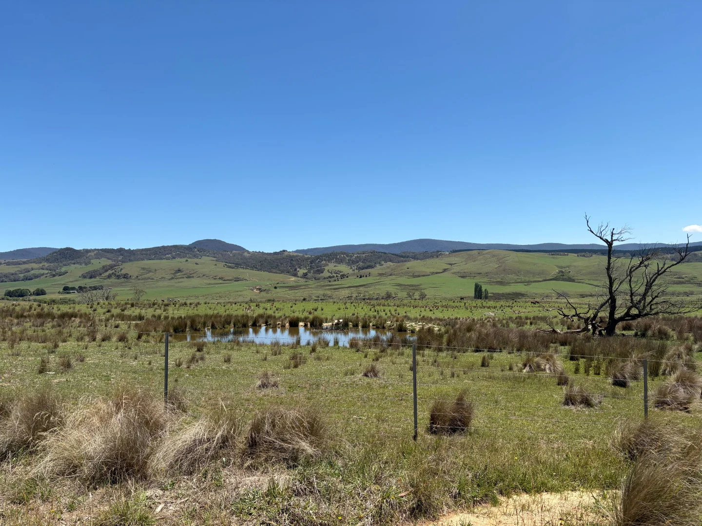 Additional image 20 of 130 Jerrabatgulla Road via Braidwood, Braidwood NSW 2622