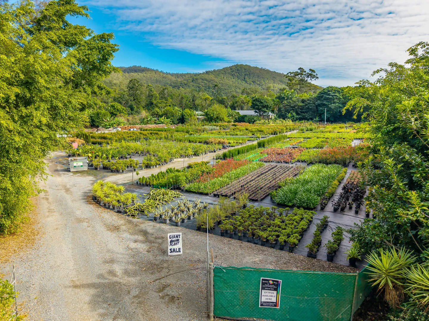 Additional image 10 of 69 Currey Road, Wongawallan QLD 4210