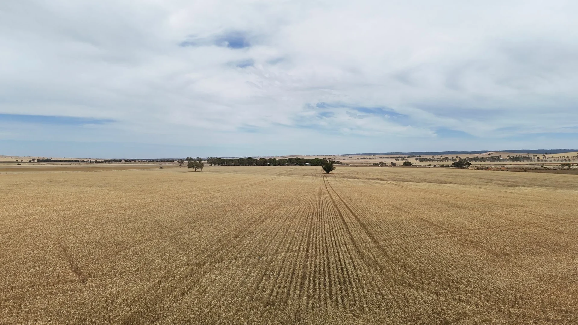 Additional image 2 of 1005 Appila-Laura Rd, Appila SA 5480