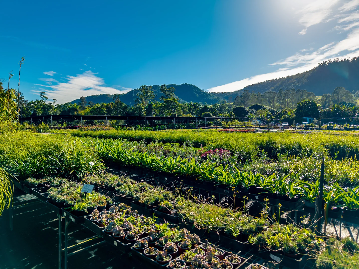 Additional image 11 of 69 Currey Road, Wongawallan QLD 4210