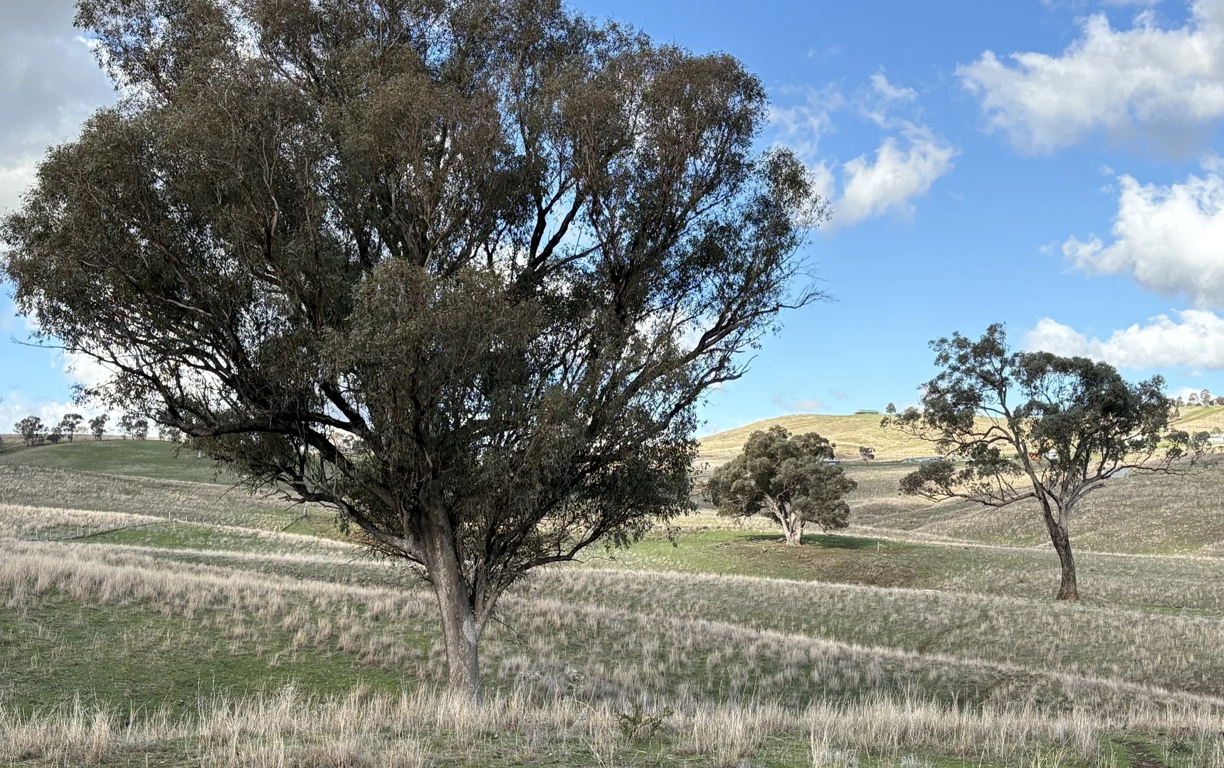 Additional image 23 of 366 Pride of Oak Road, Canowindra NSW 2804