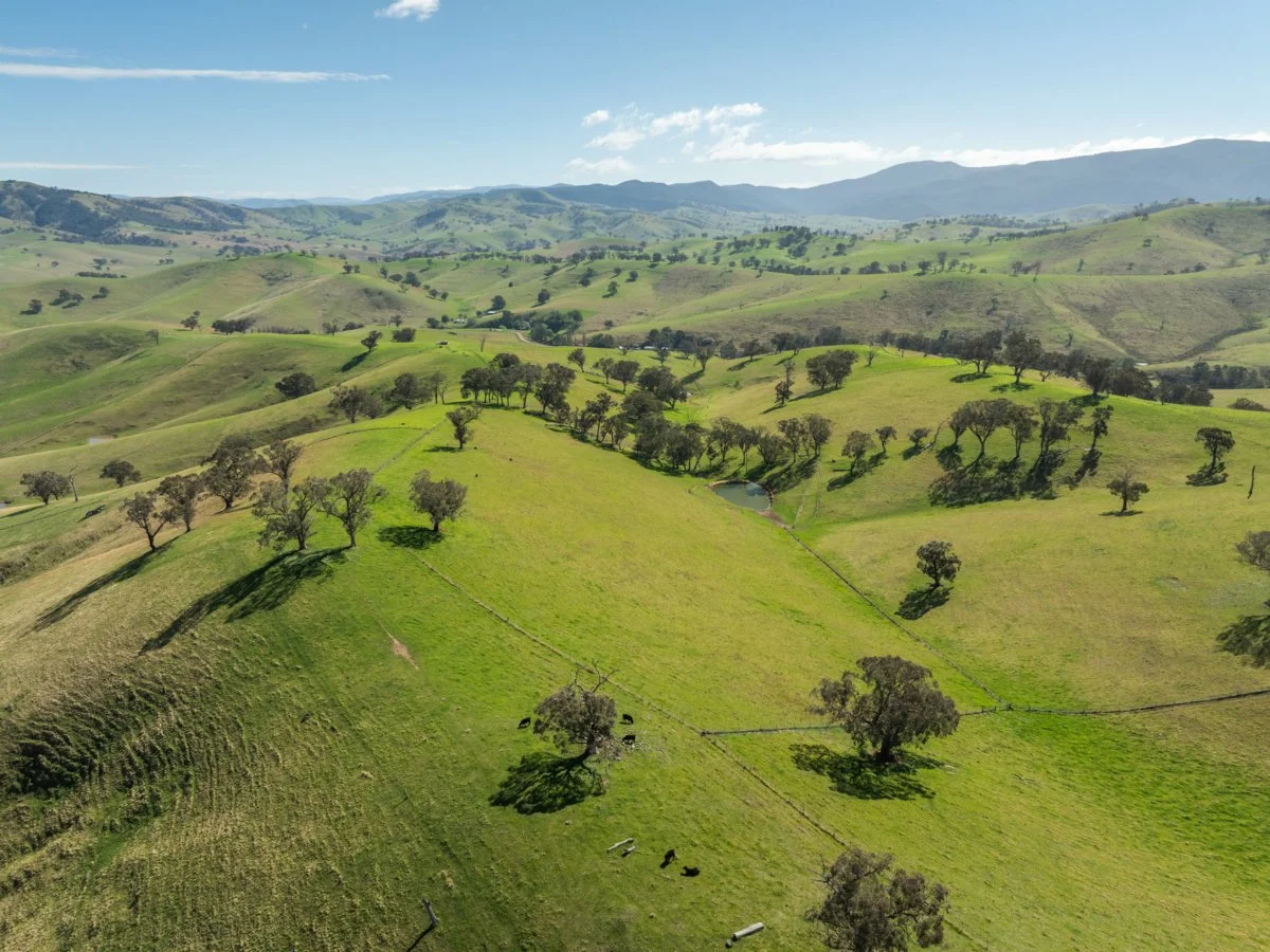 Additional image 41 of 198 Watts Creek Road, Ensay VIC 3895
