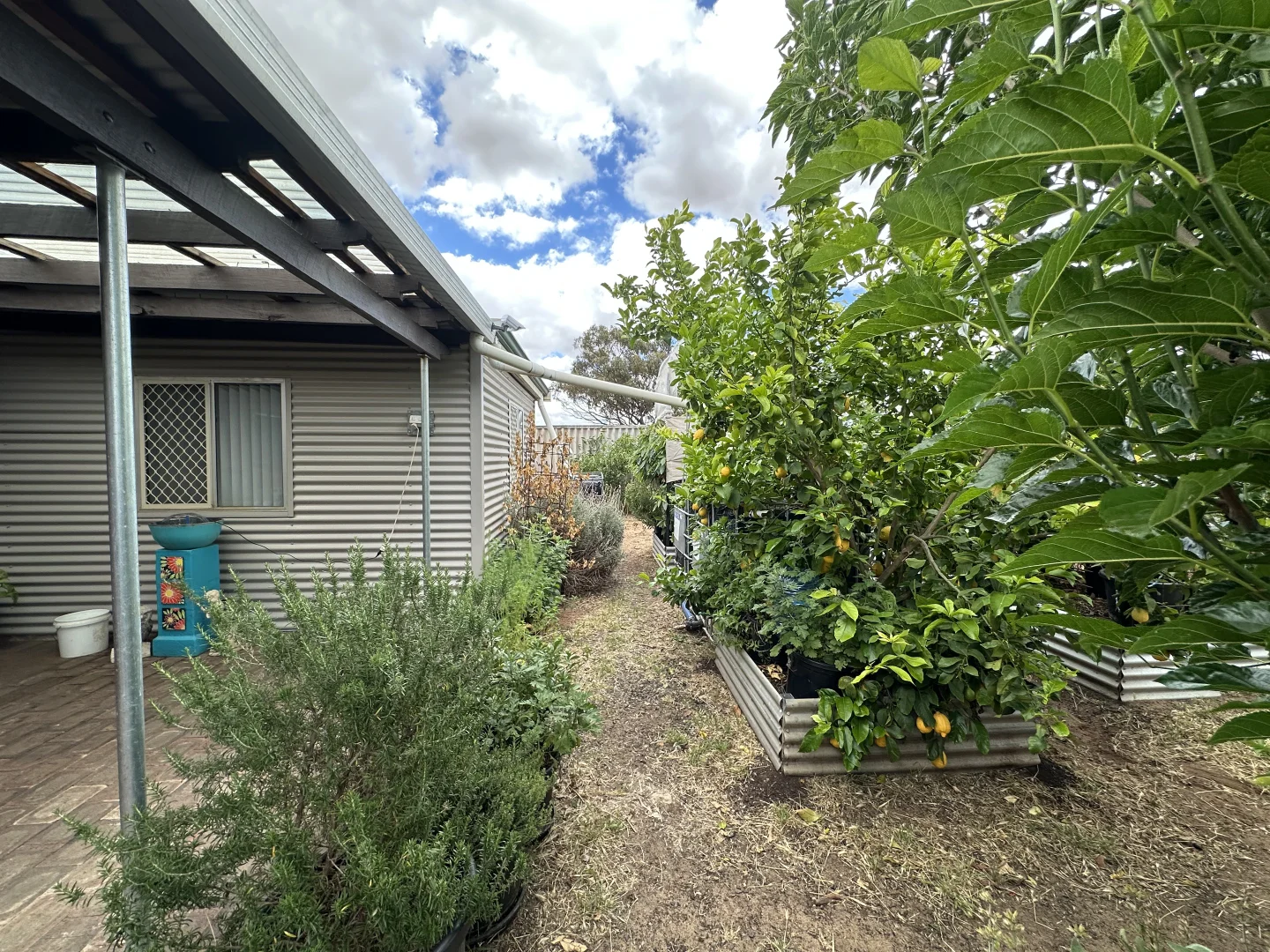 Additional image 28 of 22 Rifle North Street, Wagin WA 6315