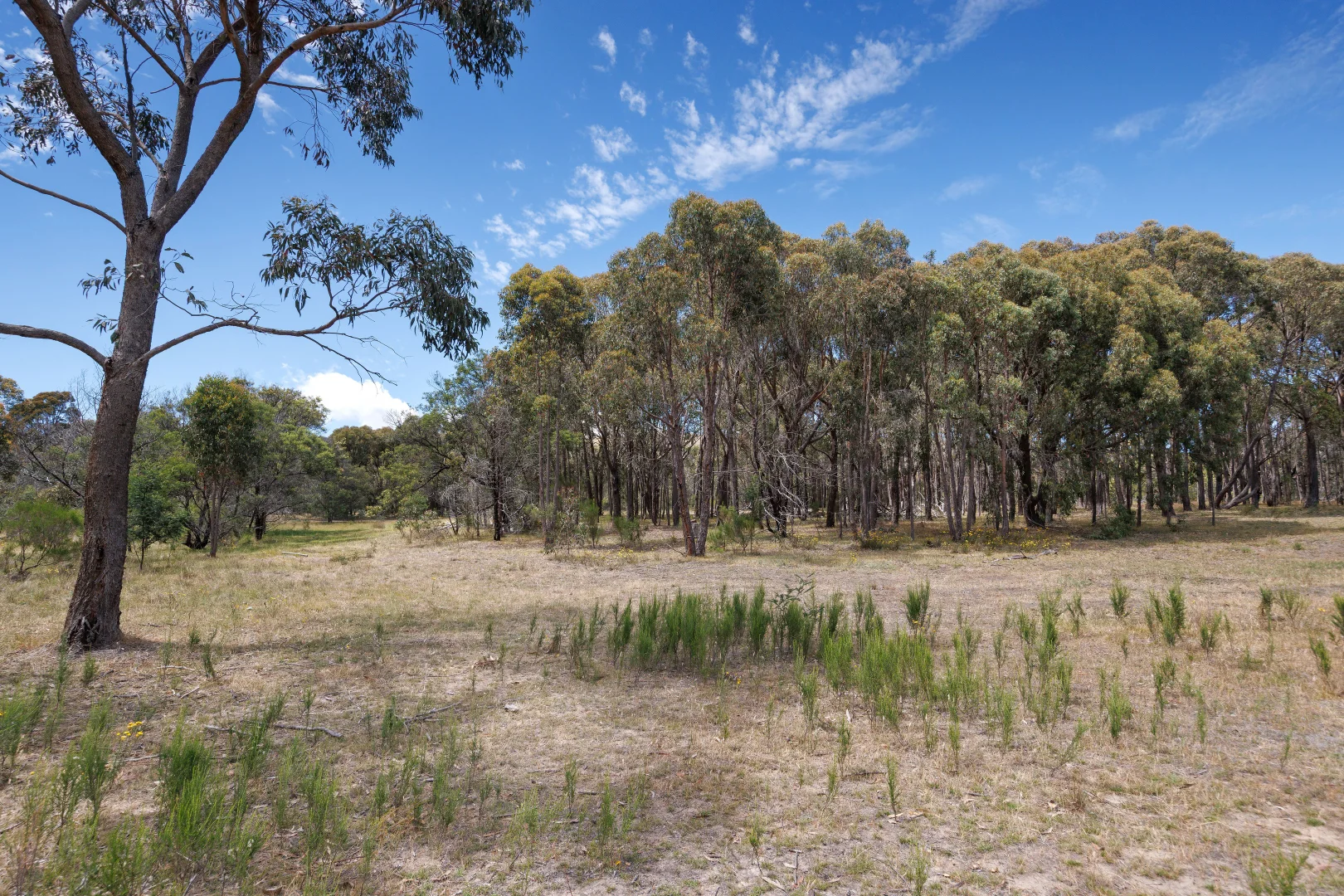 Additional image 27 of 55 Dons Lane, Glenhope East VIC 3522