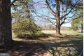 Additional image 35 of 10 Featherbed Ct, Lawrenceville, NJ, 08648