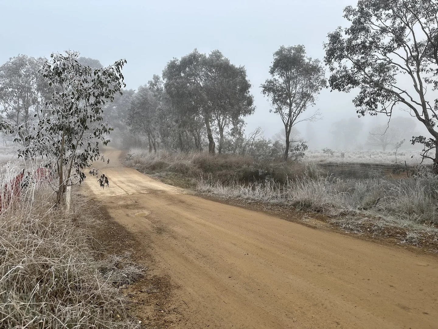 Additional image 51 of 2102 Kiowarrah Road, Bevendale NSW 2581