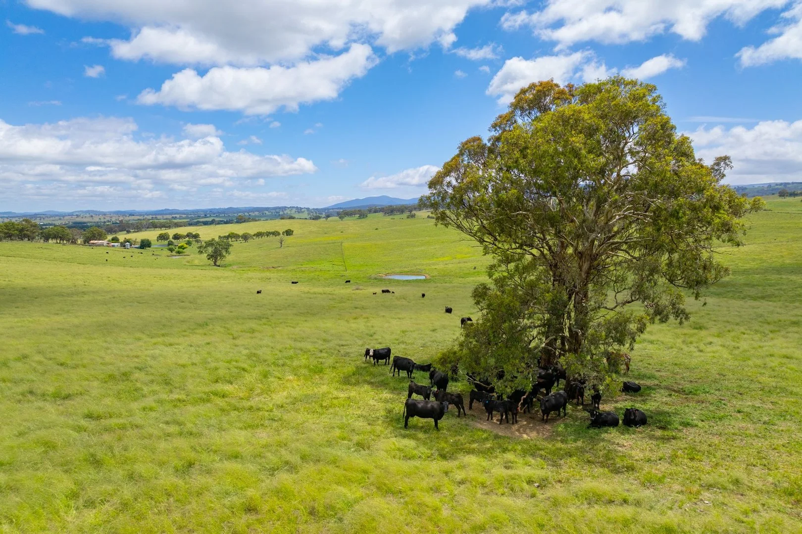 Additional image 22 of 188 Burkes Lane, Brewongle NSW 2795