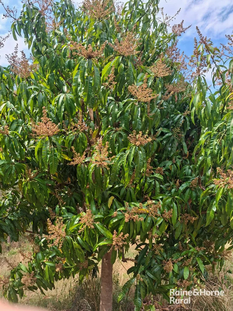 Additional image 13 of 750 West Sugar Bag Road, Drake NSW 2469