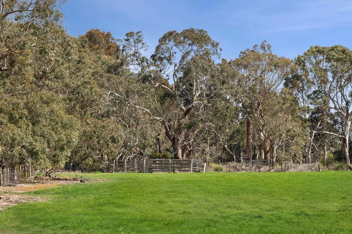 Additional image 7 of 1220 Blackgate Road, Freshwater Creek VIC 3217