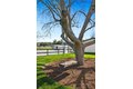 Additional image 35 of 4255 San Benito Rd, Atascadero, CA, 93422