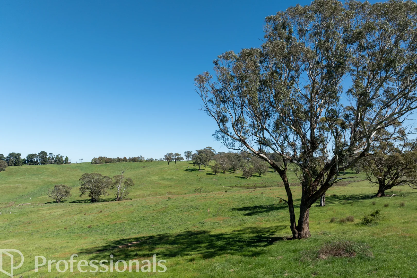 Additional image 31 of 225 Emu Swamp Road, Orange NSW 2800
