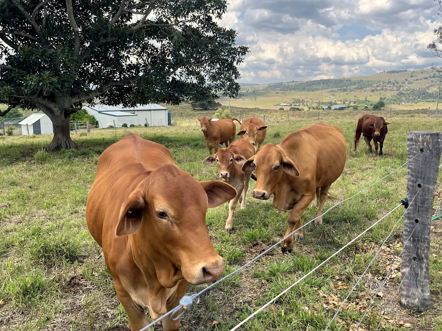 Additional image 17 of 52 Milford Middle Road, Milford QLD 4310