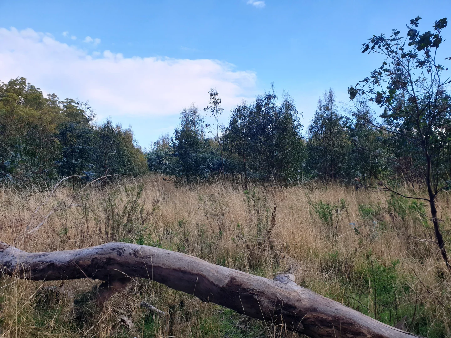 Additional image 8 of Lot 8 Paddys Lane, Franklin TAS 7113