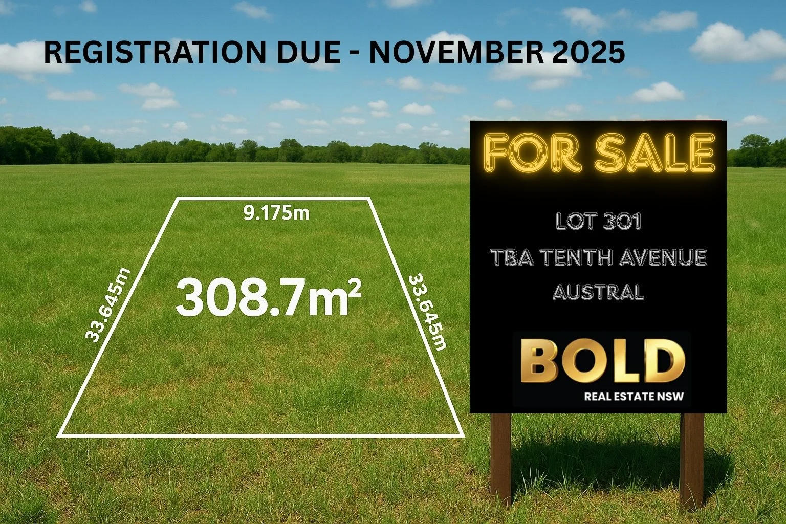 Additional image 2 of 301 TBA Tenth Avenue, Austral NSW 2179