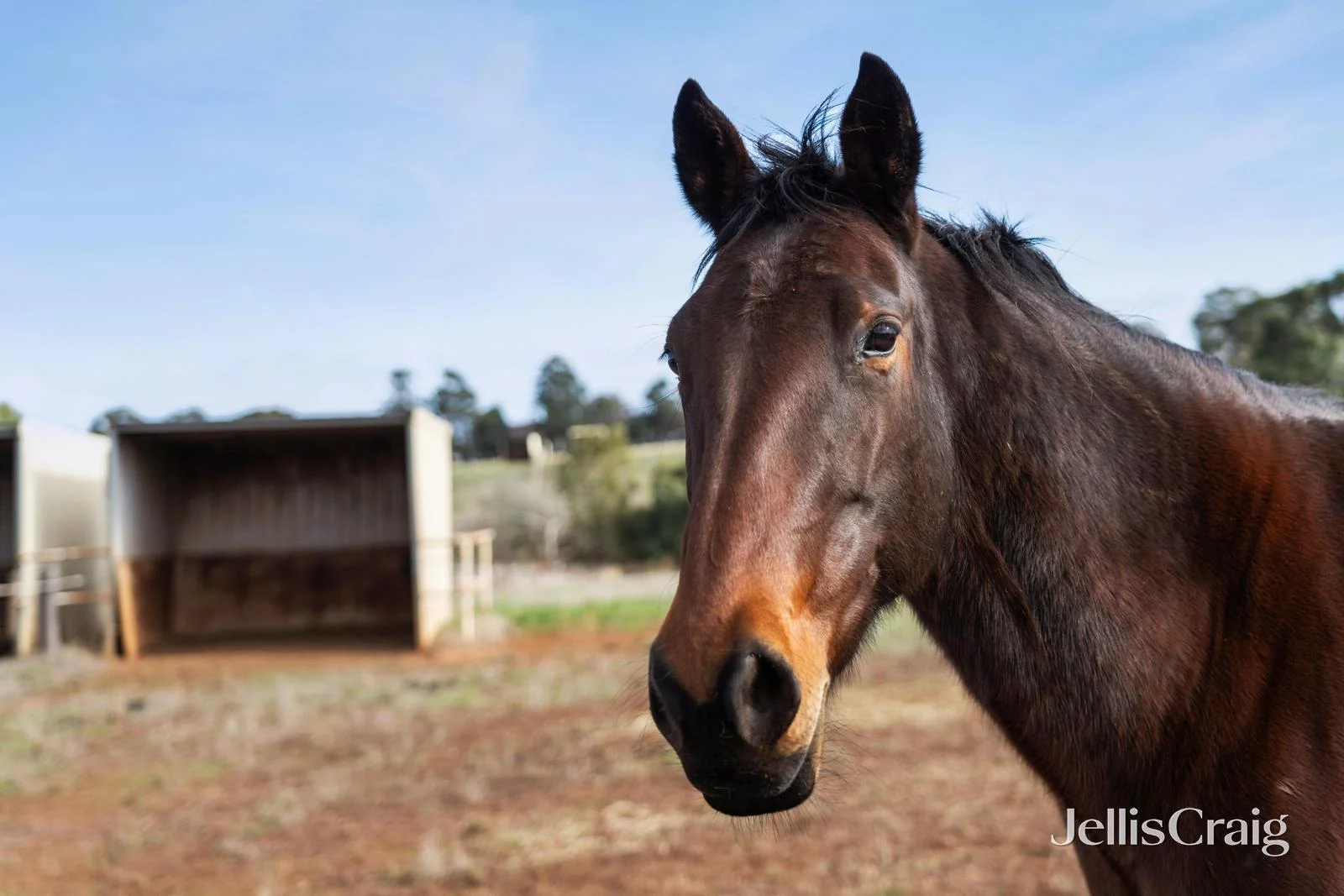 Additional image 17 of Lot 4/203 Sharpes Road, Miners Rest VIC 3352