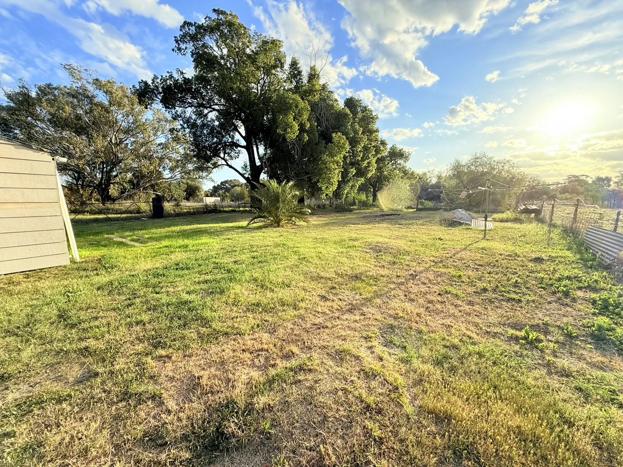Additional image 6 of 5 Boona Street, Condobolin NSW 2877