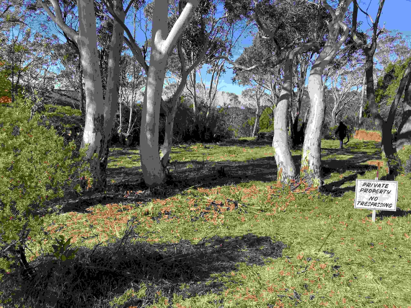 Additional image 12 of 1 Woodlands Road, Katoomba NSW 2780