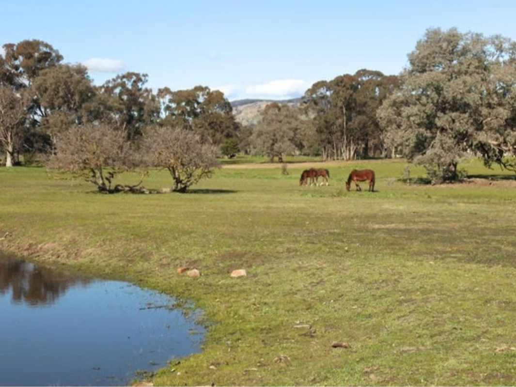 73 Murray Street, Violet Town VIC 3669