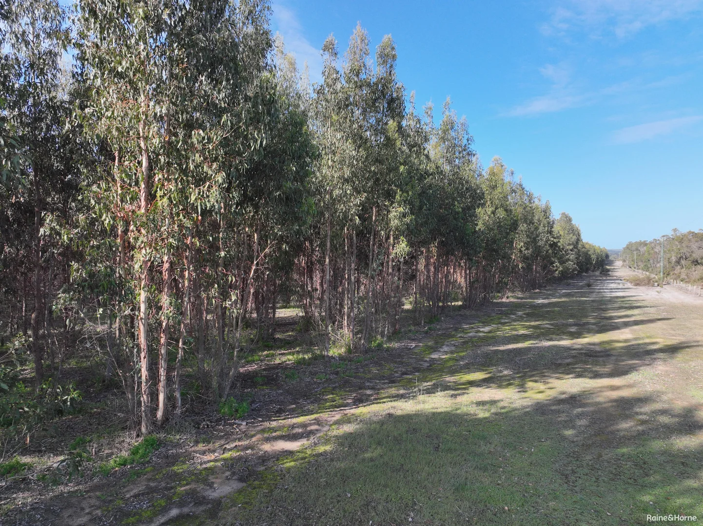 Additional image 8 of Lot 5809 Takenup Road, Napier WA 6330