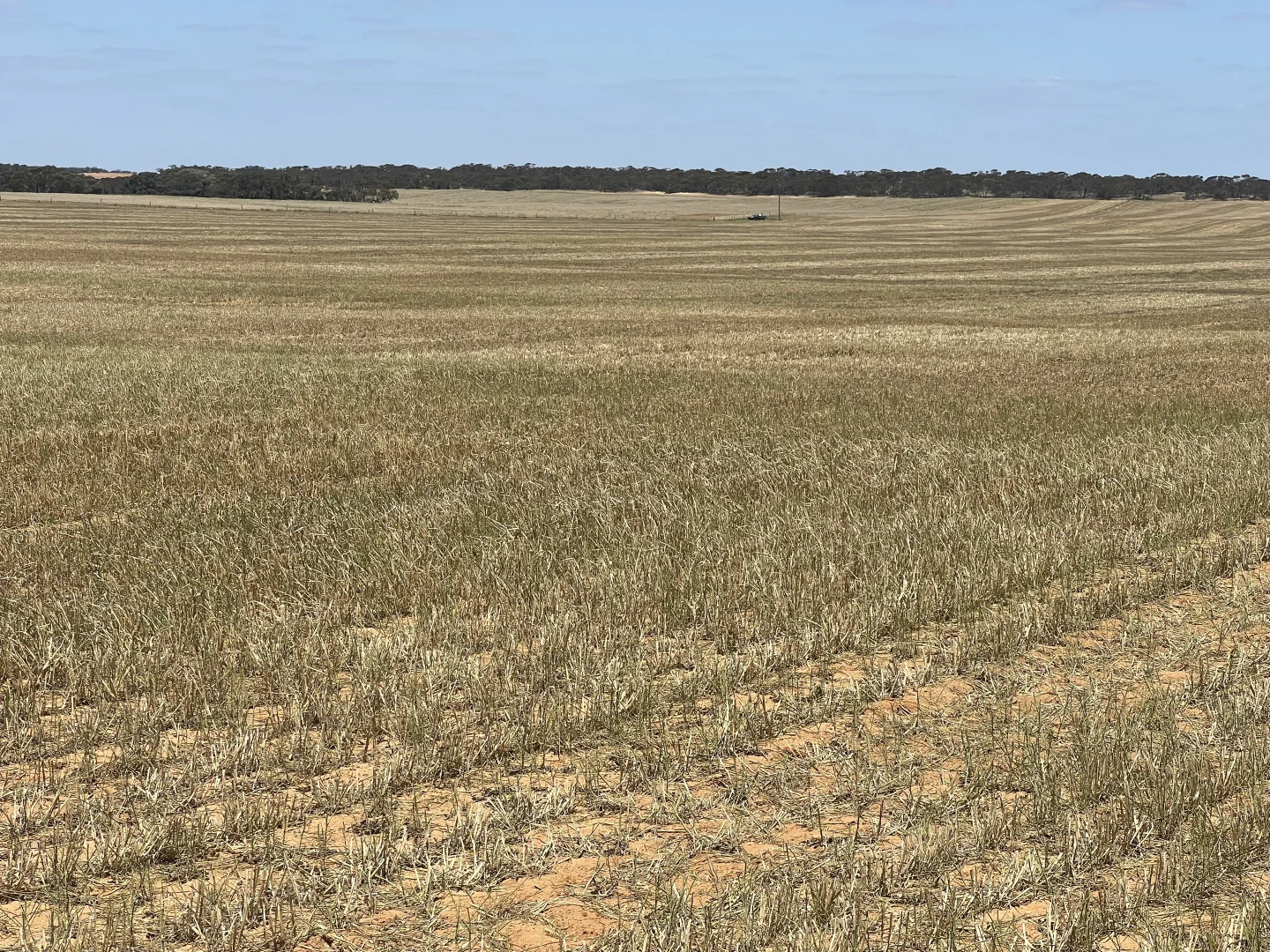 Additional image 10 of 1523 Geranium North Road, Geranium SA 5301