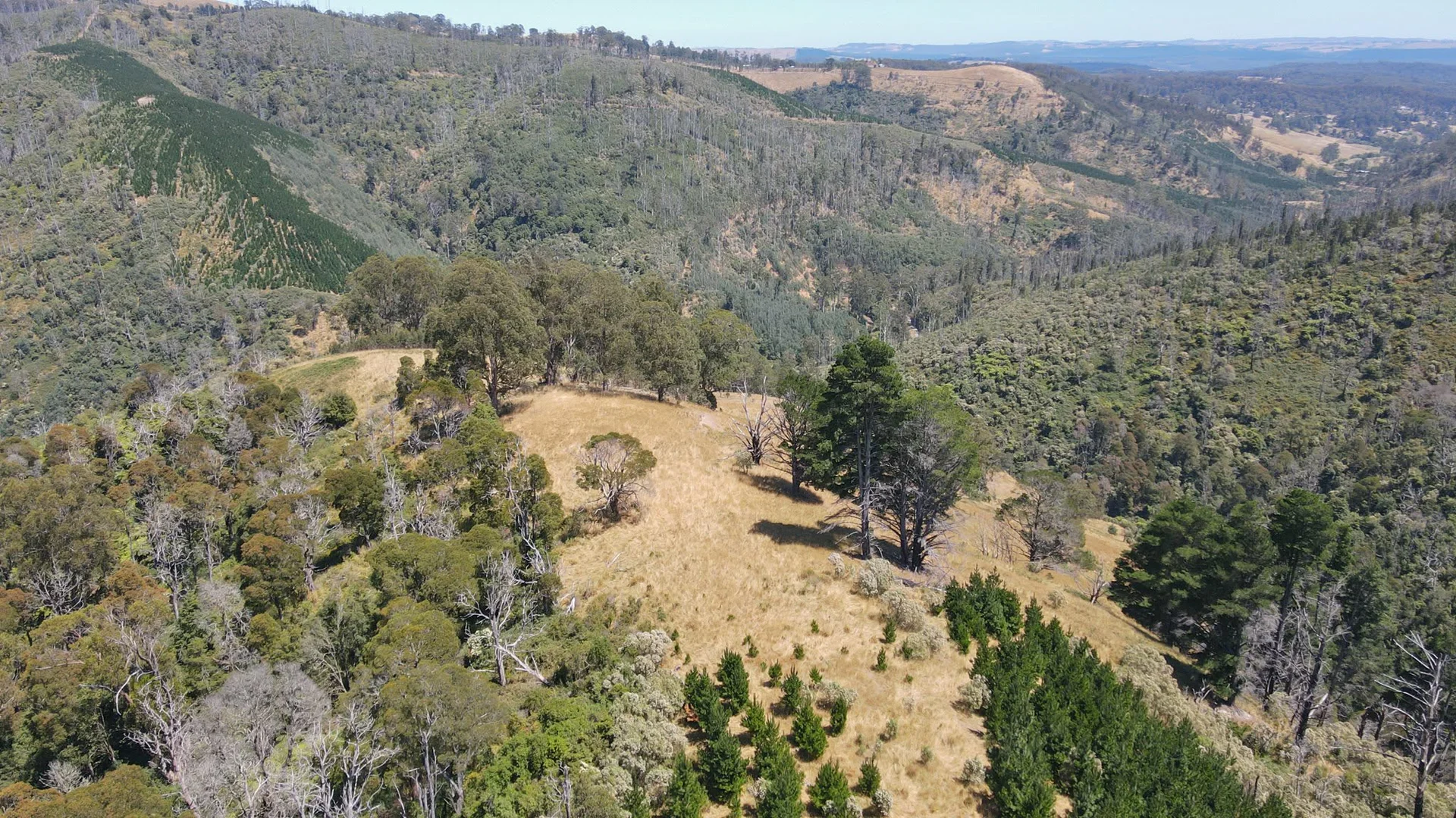 Additional image 18 of 1 Upper Middle Creek Road, Budgeree VIC 3870