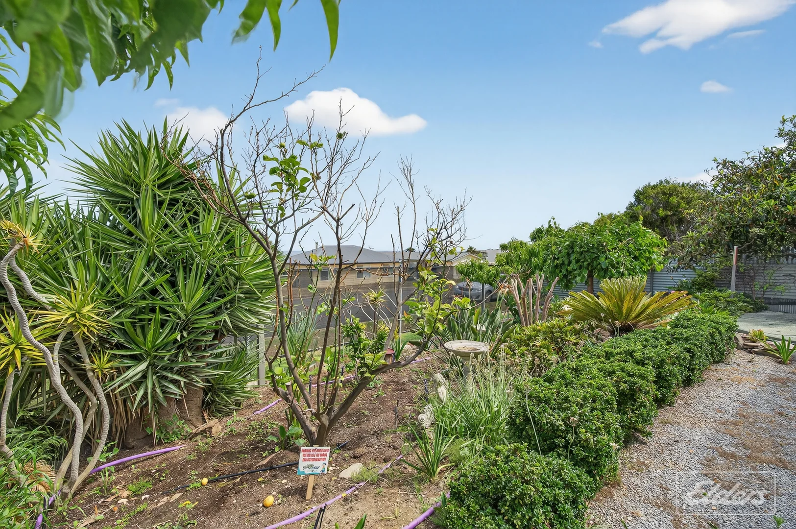 Additional image 28 of 17 Elanora Crescent, Cape Jervis SA 5204