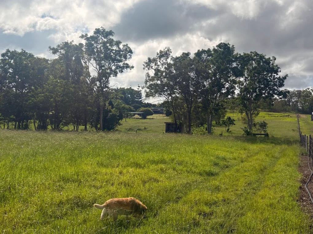 Additional image 4 of 25 Flaggy Rock Road, Clairview QLD 4741