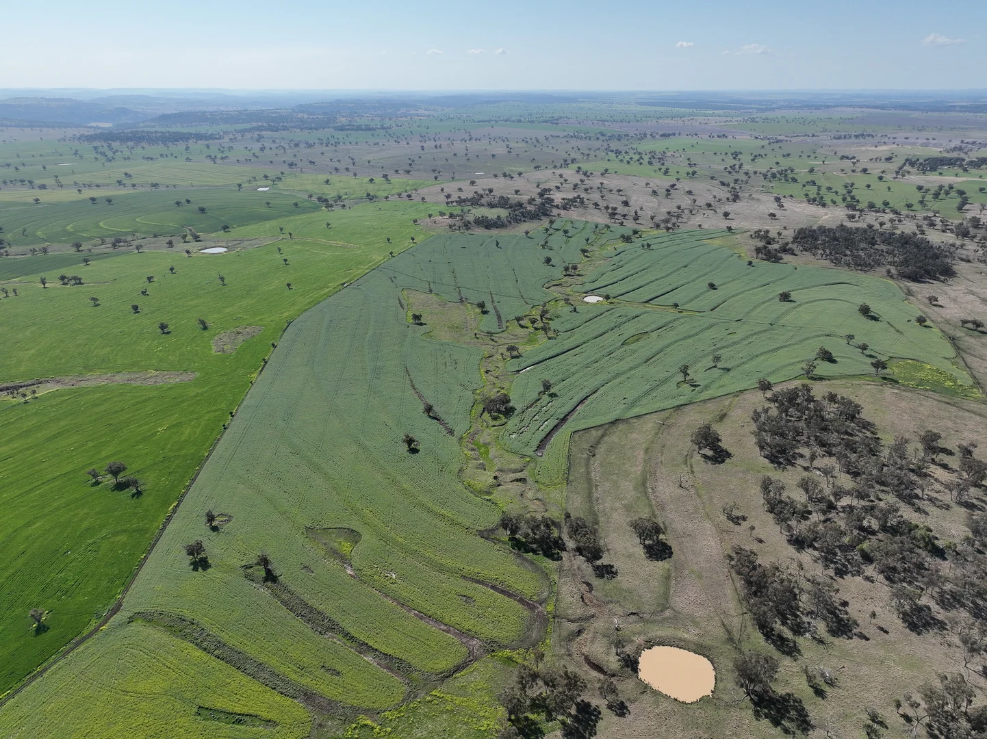 Additional image 6 of 4436 Yetman Road, Graman NSW 2360