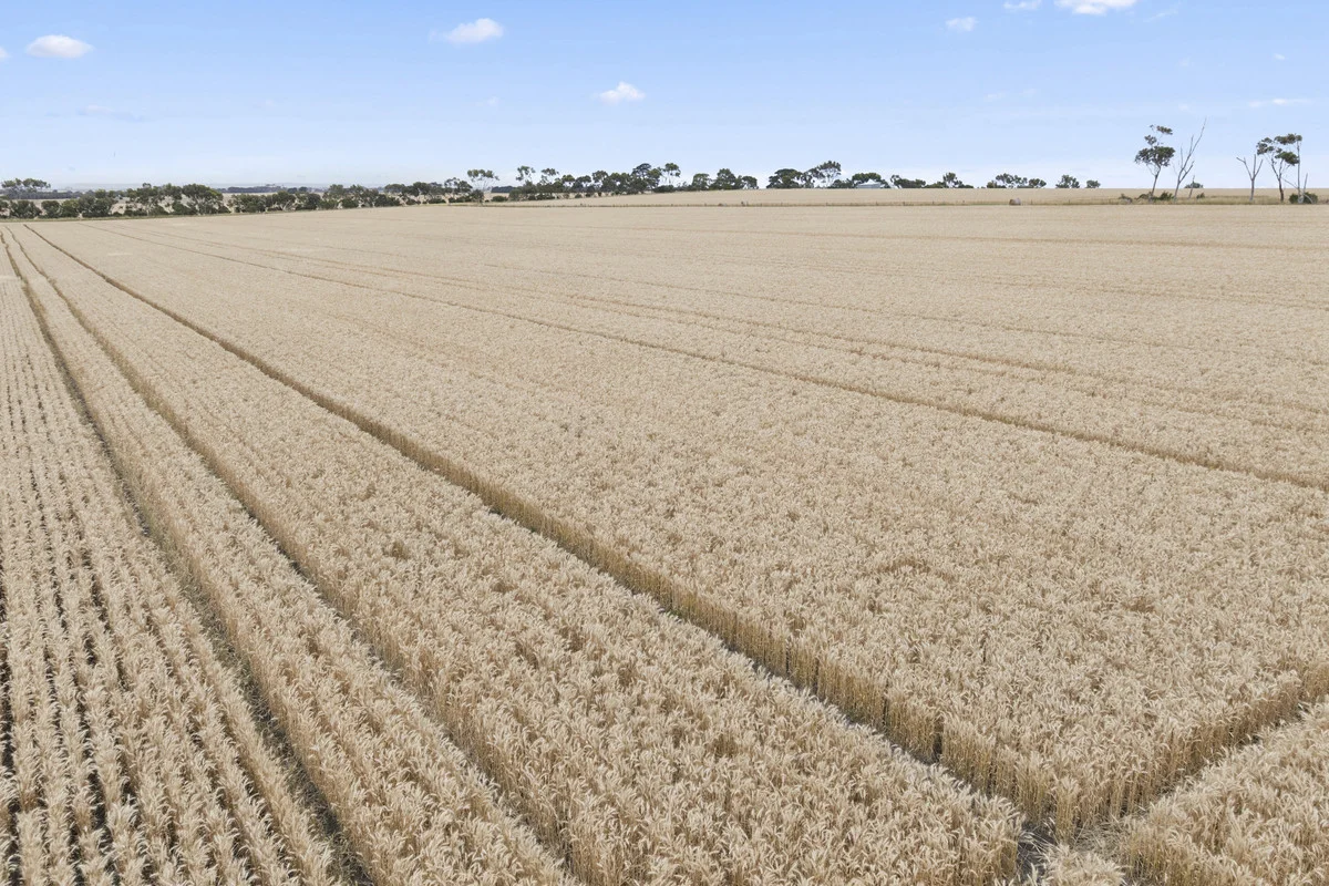 Additional image 6 of 2310 Colac-Ballarat Road, Weering VIC 3251