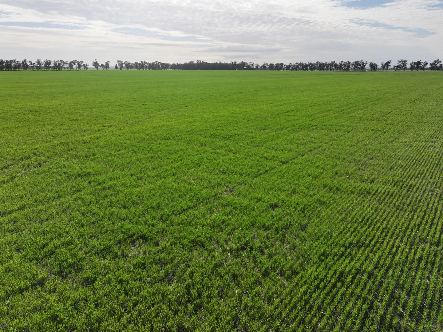 Part 'Girraween' Schmidts Lane, Quandary NSW 2665