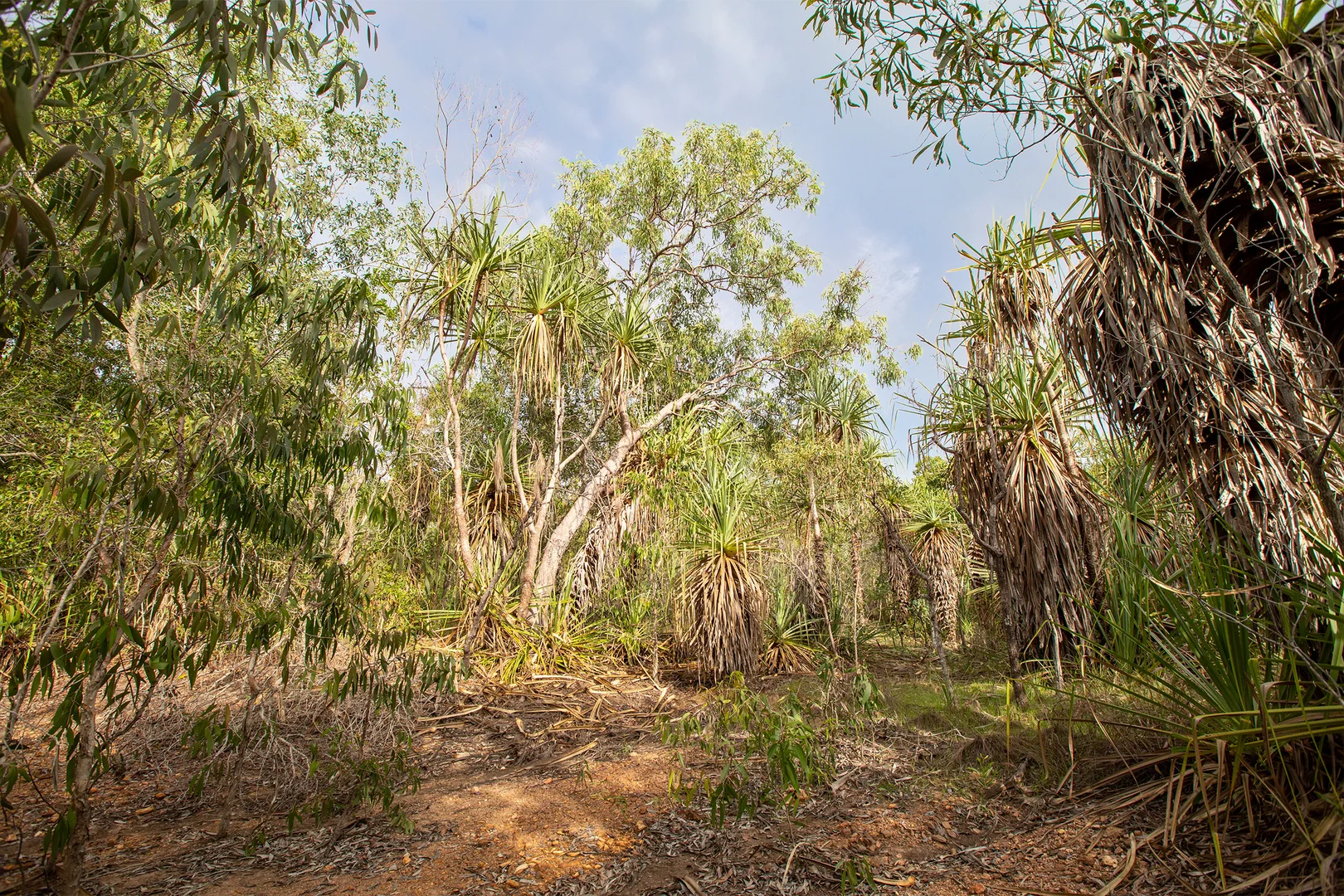 Additional image 12 of 56 Dowling Rd, Virginia NT 0834