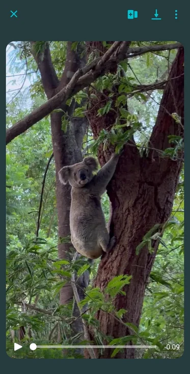 Additional image 4 of Lot 18/47 Thompson Road, Bellmere QLD 4510