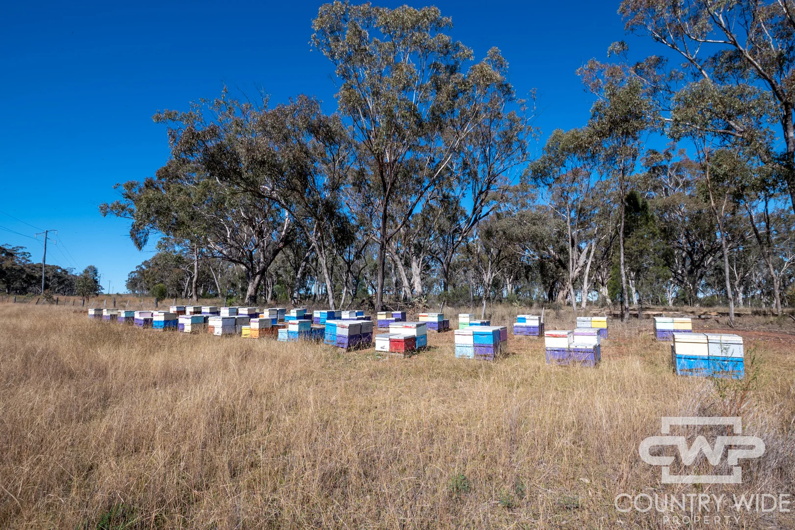 Additional image 15 of 8, - Emmaville Road, Emmaville NSW 2371