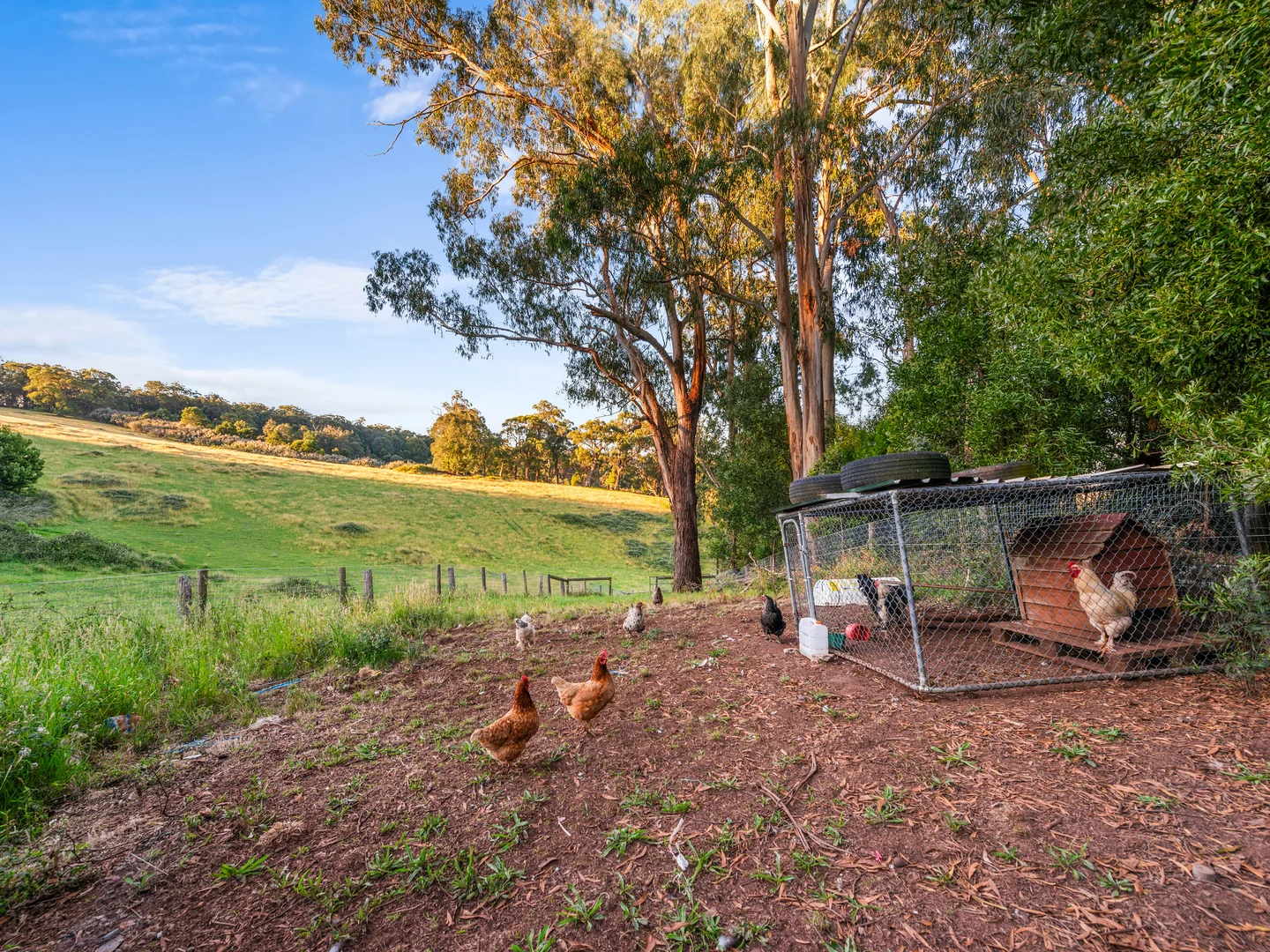 Additional image 23 of 43 Johnsons Lane, Willung South VIC 3847