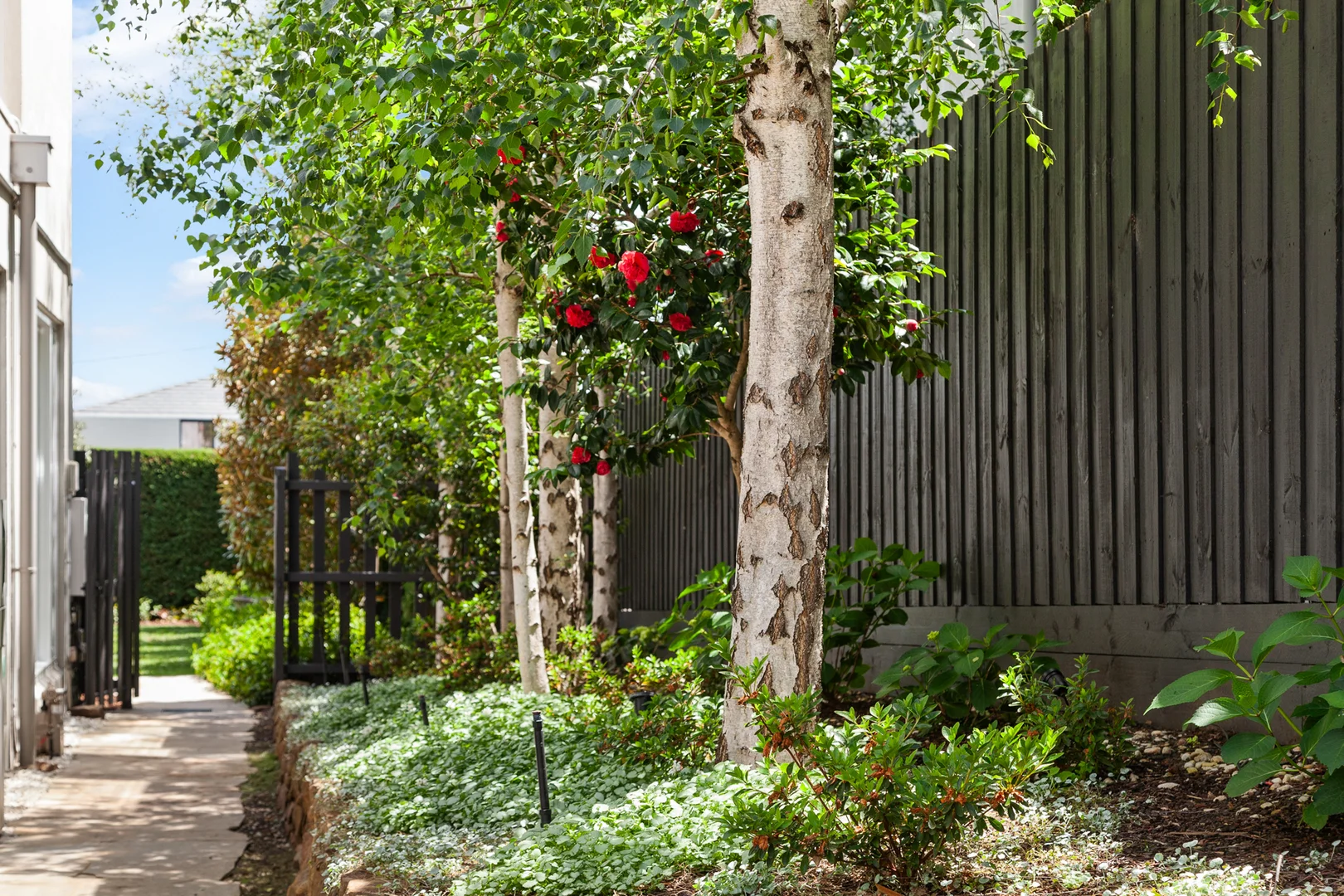 Additional image 20 of 8 Woodland Avenue, Mount Eliza VIC 3930