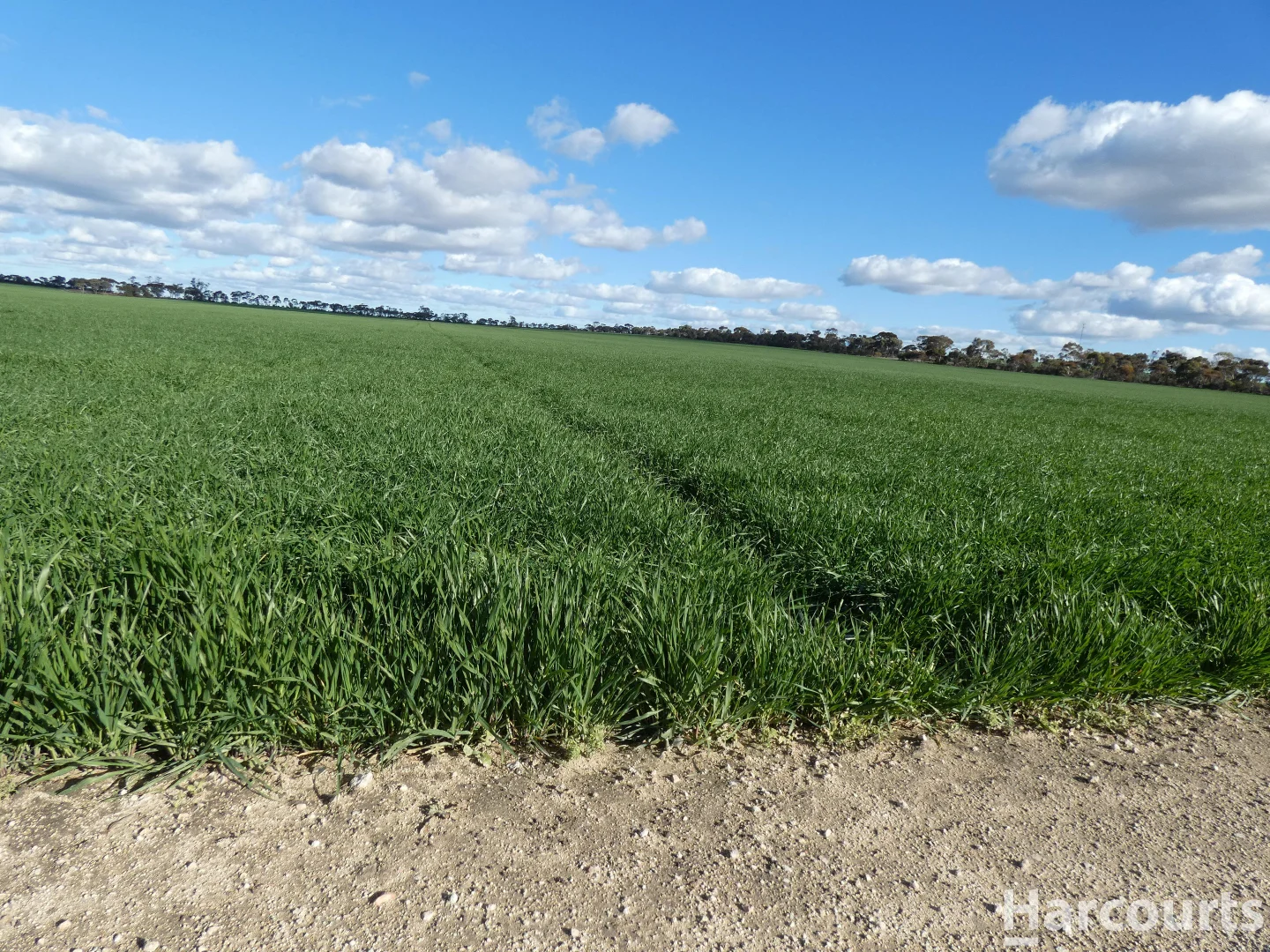 Additional image 3 of 4429 Hopetoun-Rainbow Road, Rainbow VIC 3424