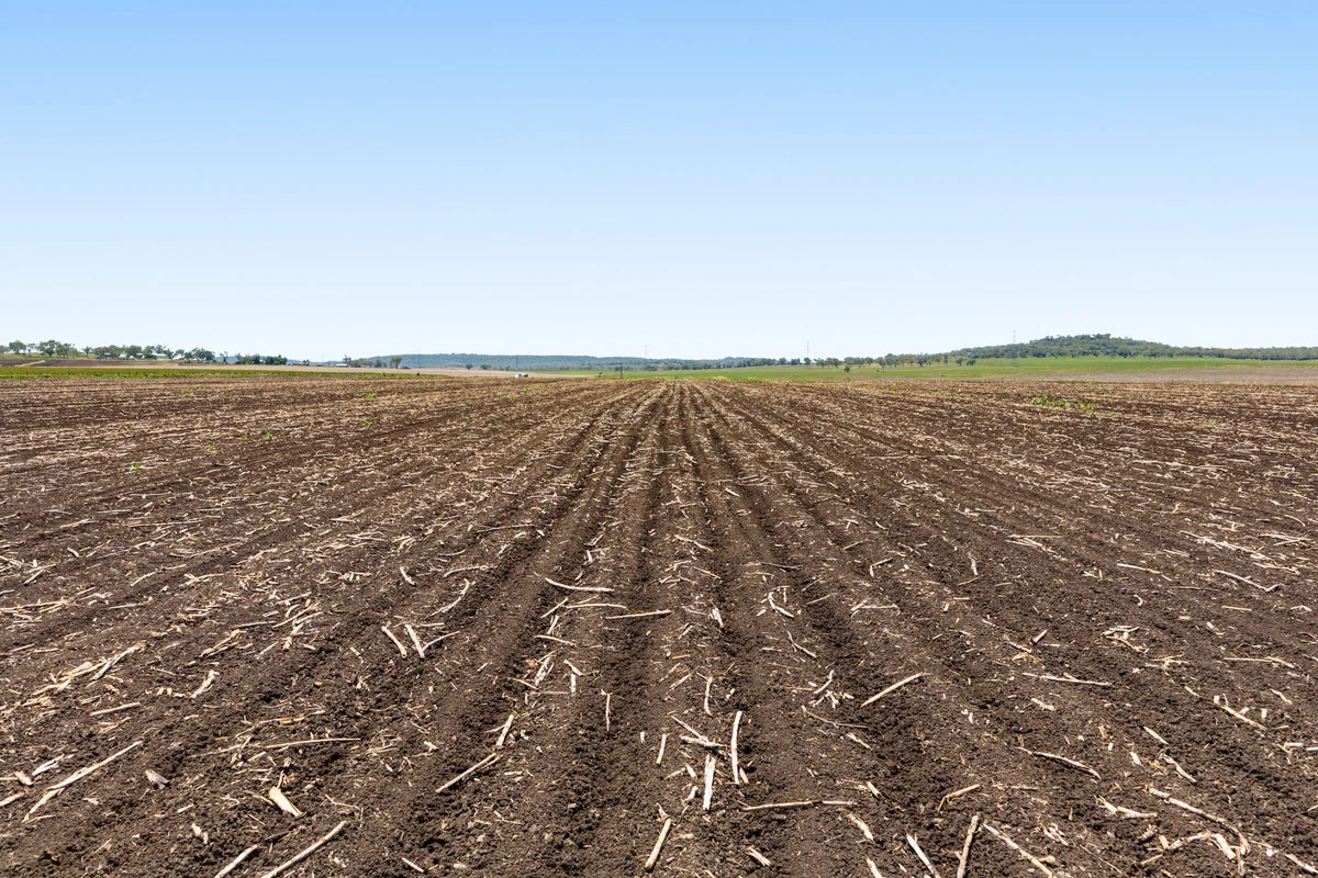 Additional image 19 of 2991 Toowoomba Karara Road, Felton QLD 4358