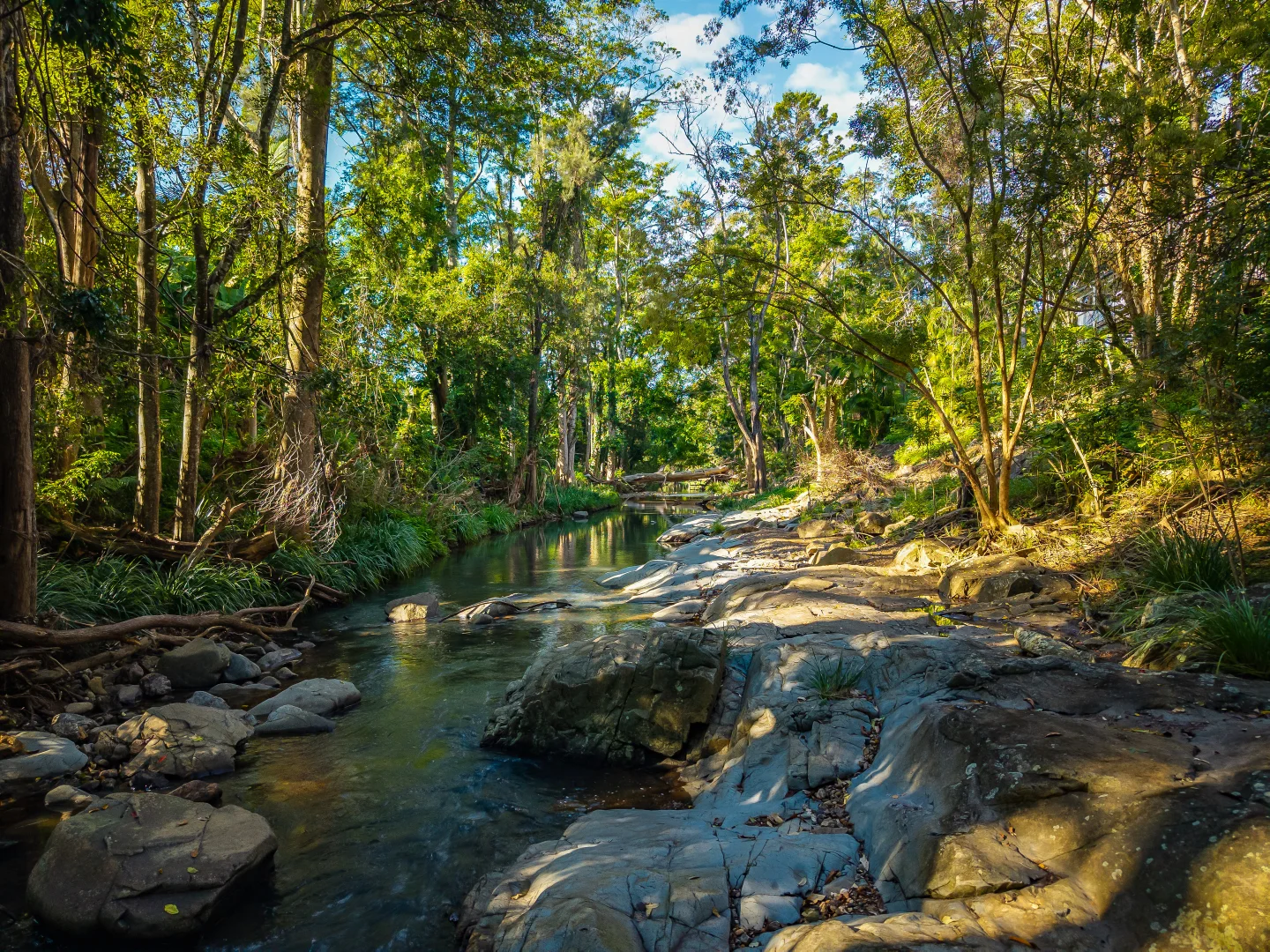 Additional image 5 of 69 Currey Road, Wongawallan QLD 4210
