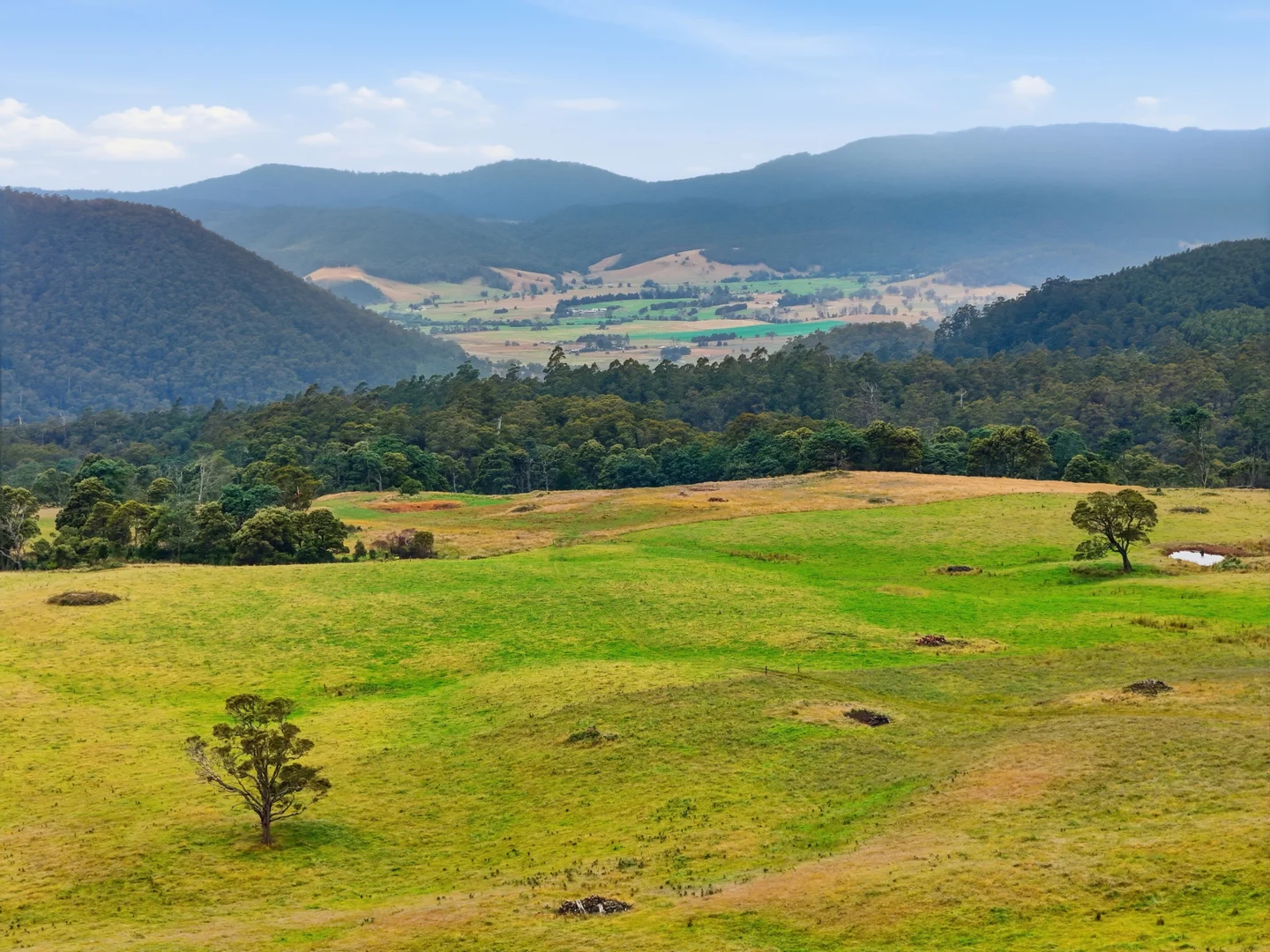 Additional image 4 of 28834 Tasman Highway, Weldborough TAS 7264