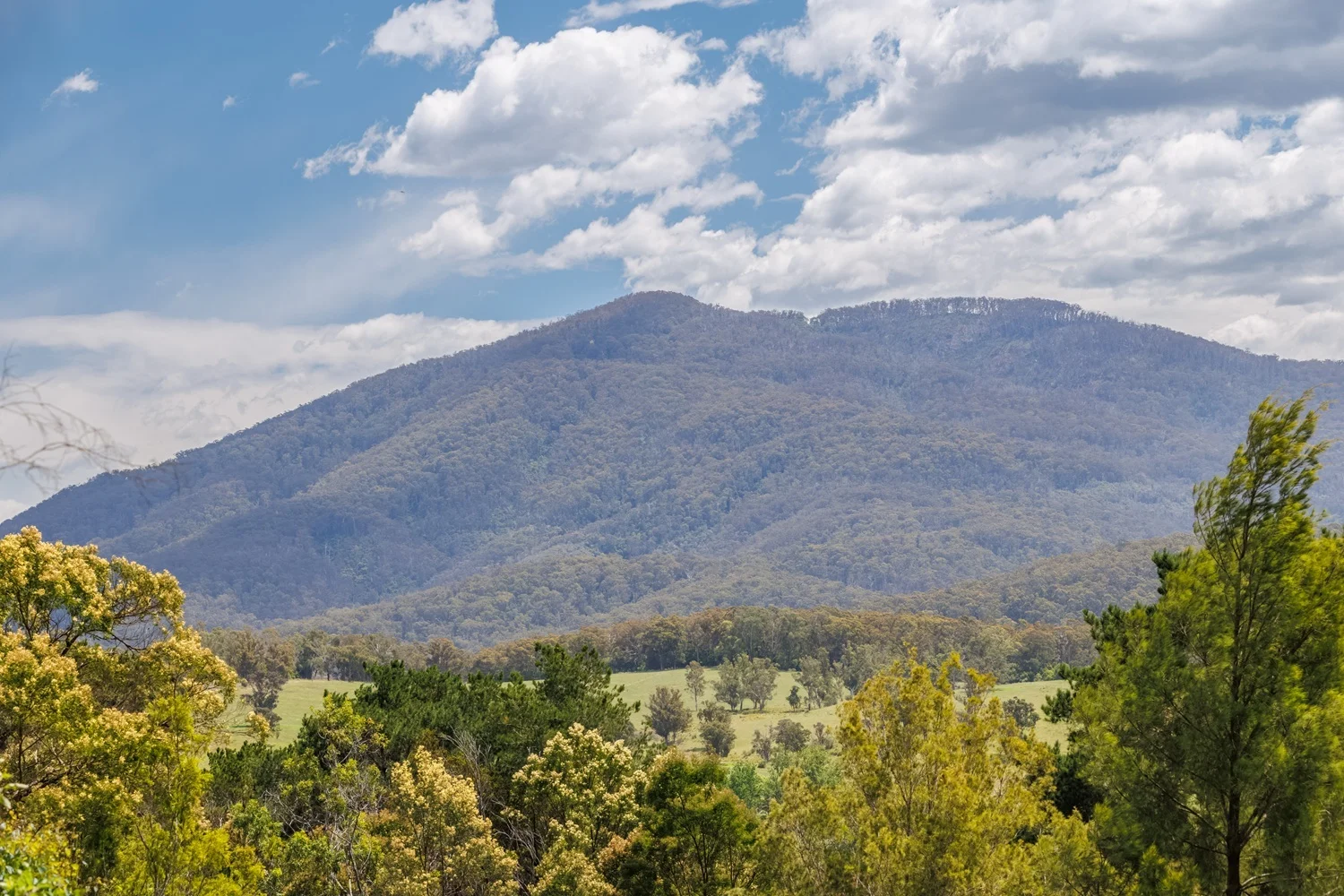 Additional image 2 of 2-6 Nangutta St, Towamba NSW 2550