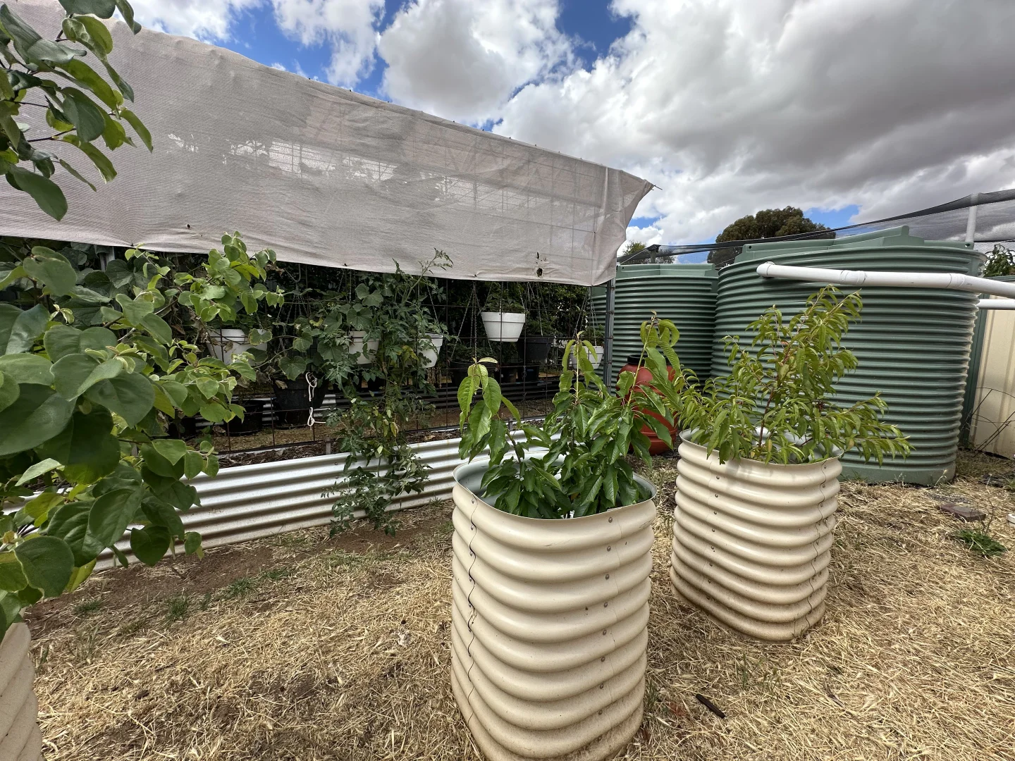 Additional image 25 of 22 Rifle North Street, Wagin WA 6315