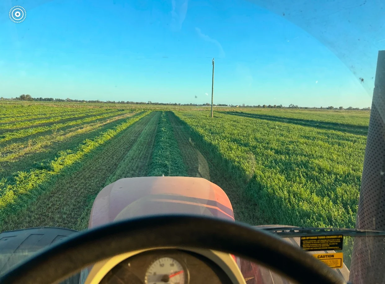 Additional image 16 of 229 Elliots Lane, Forbes NSW 2871