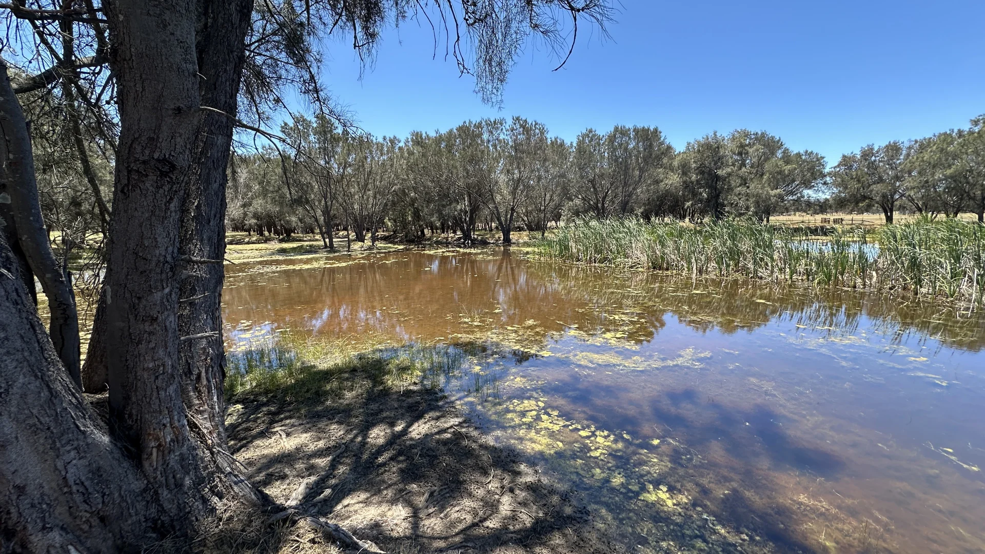 Additional image 3 of 1863 Thomas Road, Oakford WA 6121