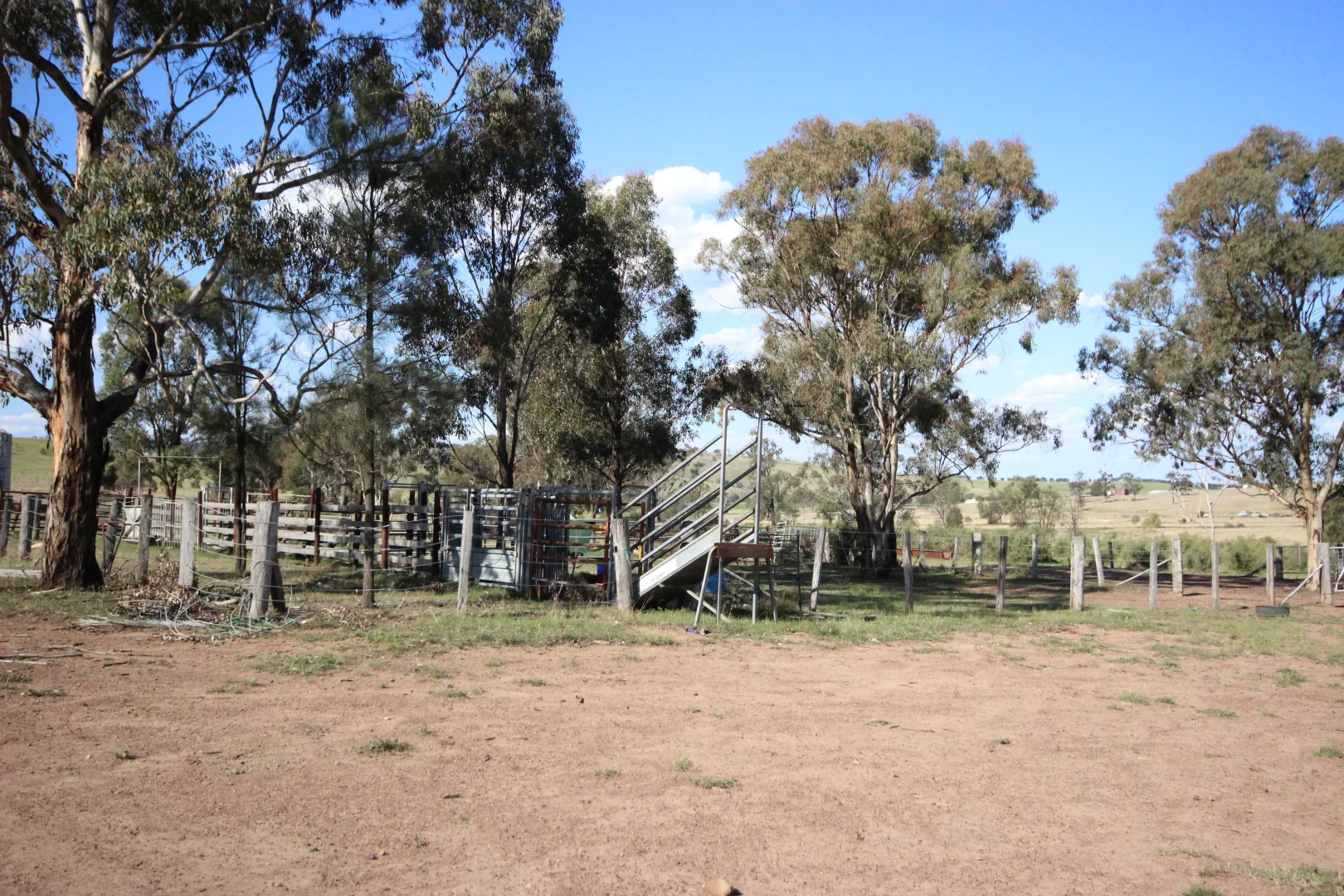 Additional image 36 of 207 Redmanvale Road, Jerrys Plains NSW 2330