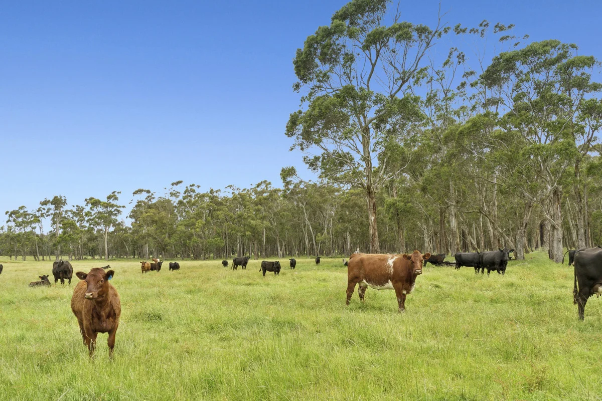 Additional image 10 of 190 Blacks Road, Irrewillipe VIC 3249