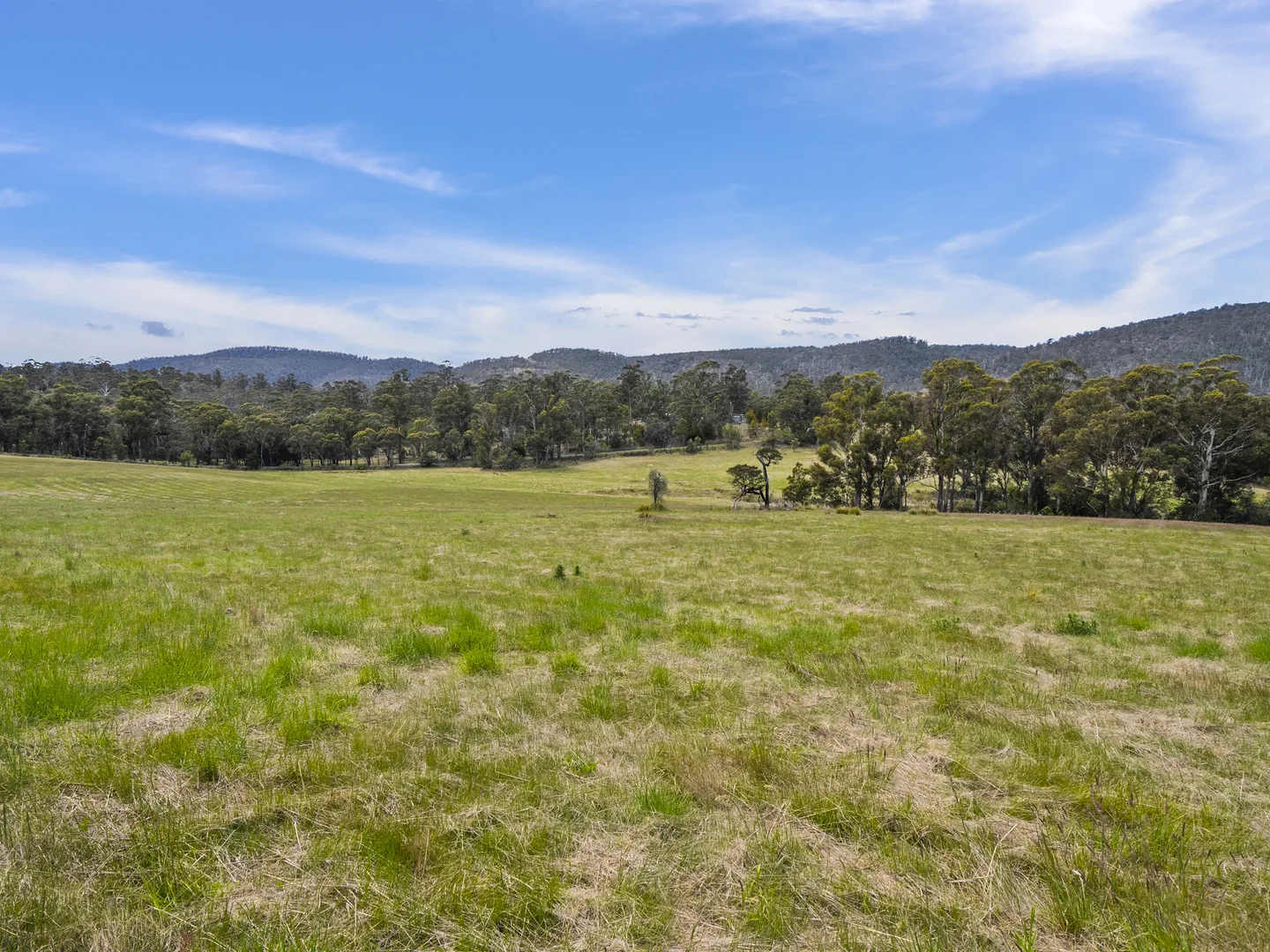 Additional image 4 of 1 Aldridge Road, Orielton TAS 7172