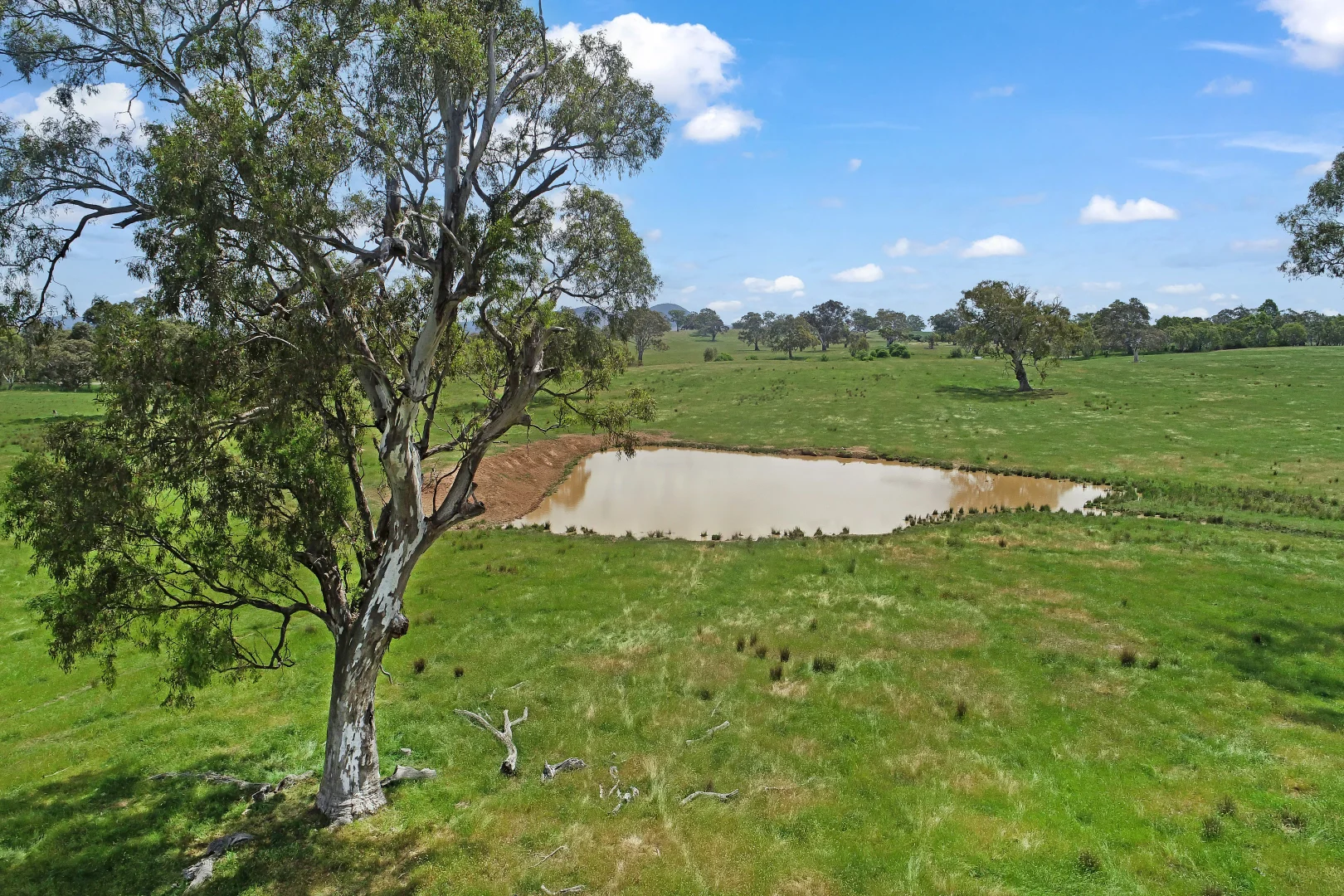 Additional image 6 of 3 Carlisle Hill Road, Mansfield VIC 3722