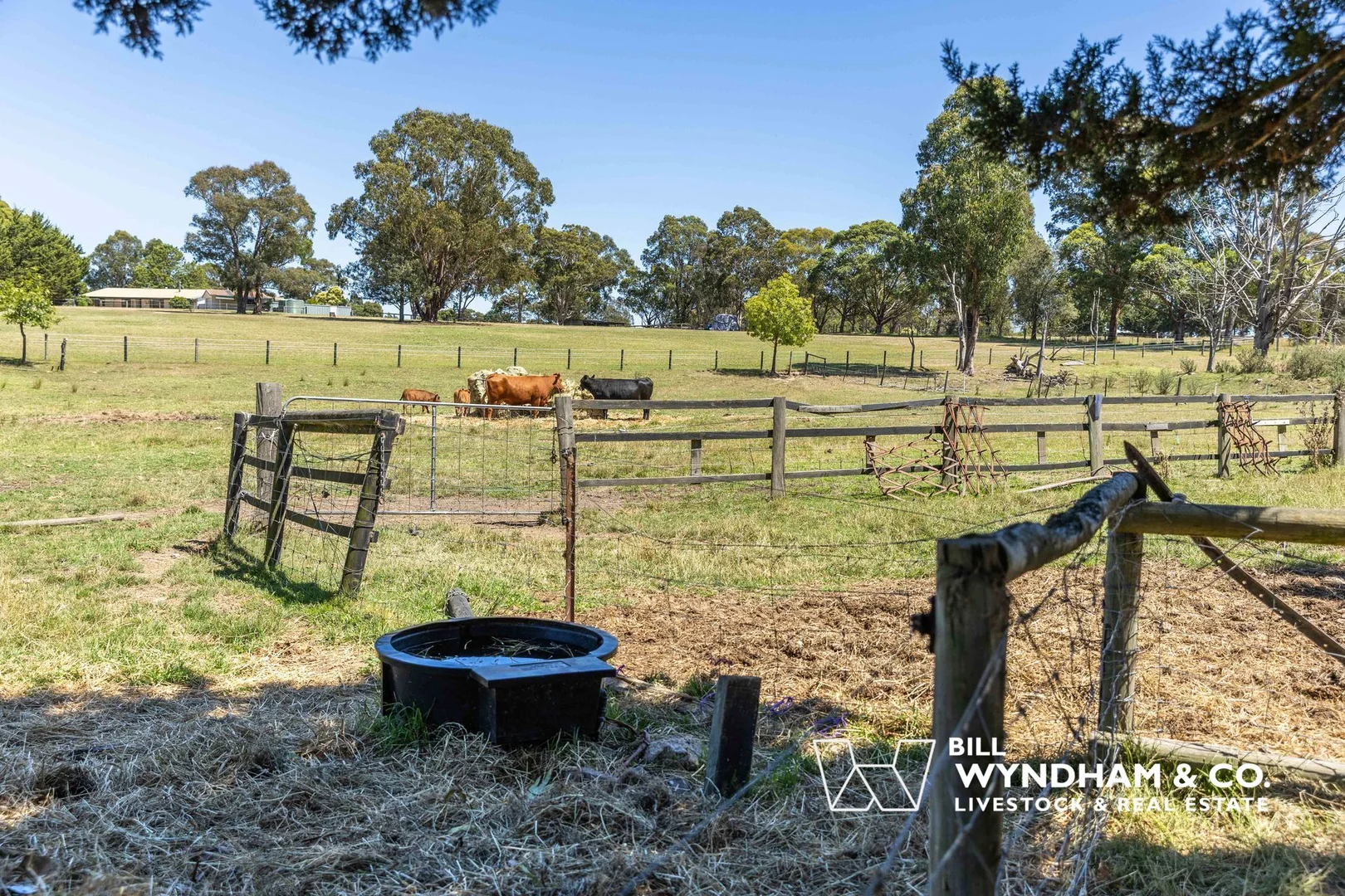 Additional image 23 of 10 Hazeldene Crescent, Nicholson VIC 3882