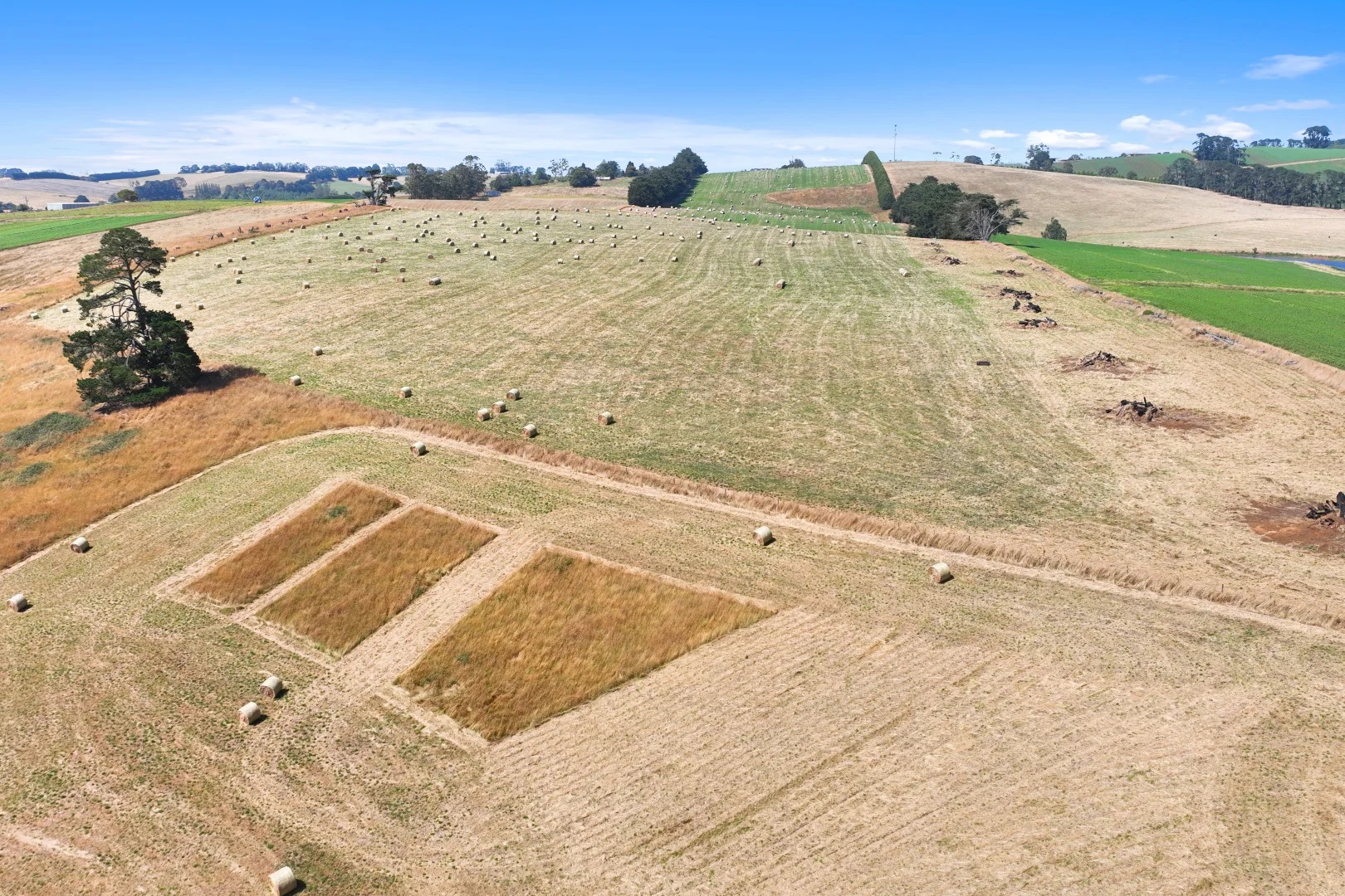 Additional image 16 of Lot 2/107 Cooks Road, Thorpdale VIC 3835